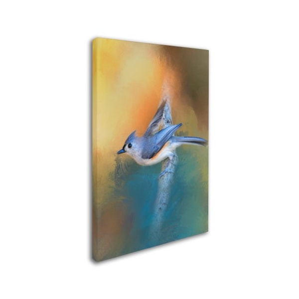 Jai Johnson 'In A Flash Tufted Titmouse' Canvas Art,16x24